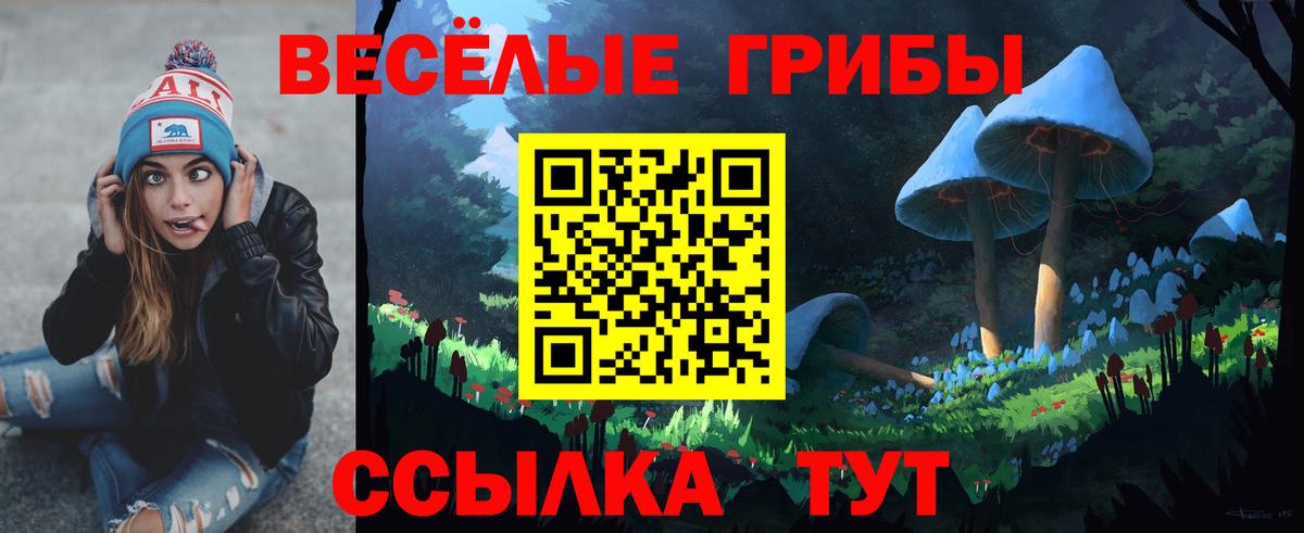 Галлюциногенные грибы GOLDEN TEACHER  Вход с VPN  Татарск 